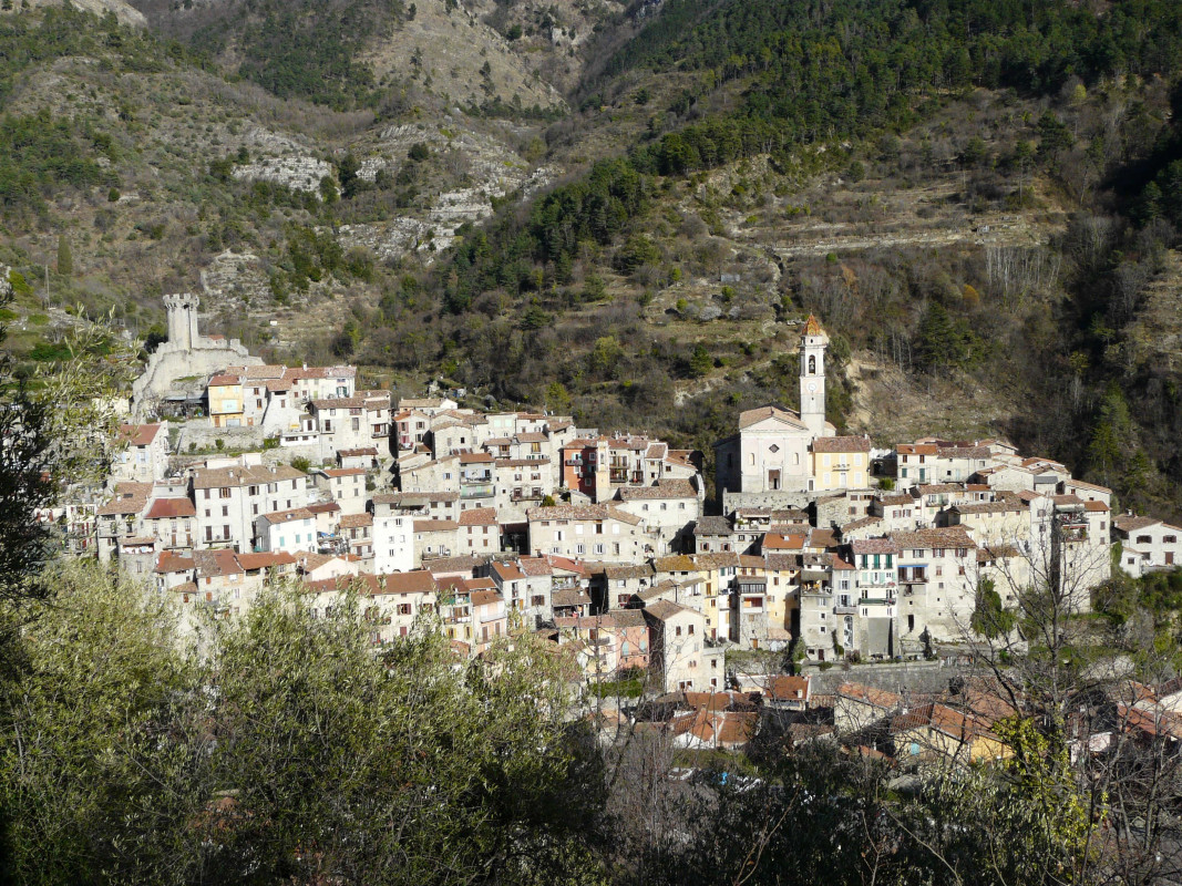 photo 30