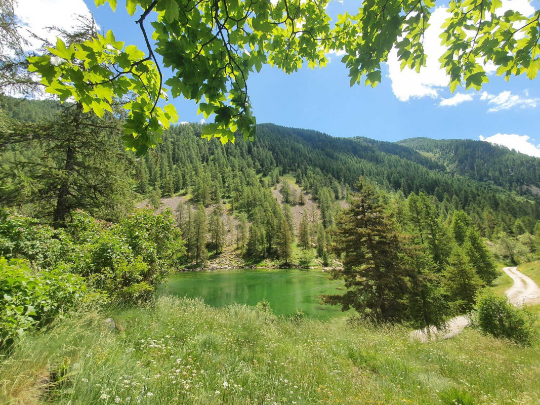 Location Gîte de groupe 4900 à Belvédère - Gîtes de France des Alpes-Maritimes